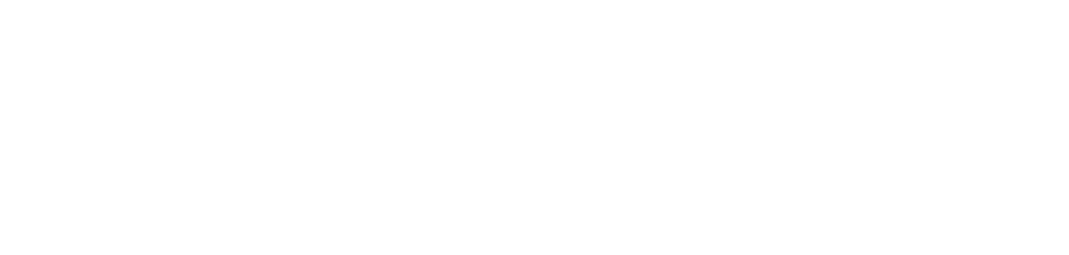 spectiv